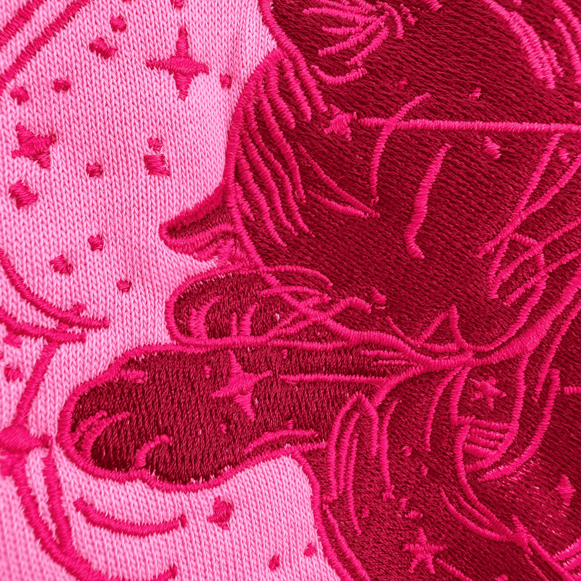 Pink Cat Celestial Moon and Stars Hoodie Embroidered